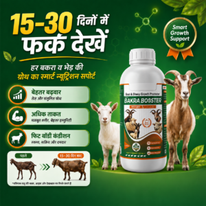Dynafarm - bakra booster post website 03