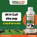 Dyna Calf Immunity And Growth Support | Calf Nutrition Supplement - Image 2