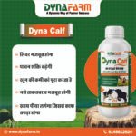 Dyna Calf Immunity And Growth Support | Calf Nutrition Supplement - Image 4