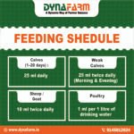 Dyna Calf Immunity And Growth Support | Calf Nutrition Supplement - Image 6