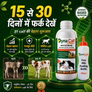 Dynafarm - dyna calf post website 03 1