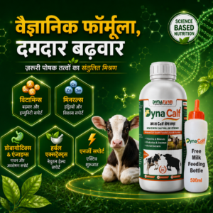 Dynafarm - dyna calf post website 04 1