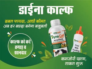 Dynafarm - dyna calf webside banner 01.jpg