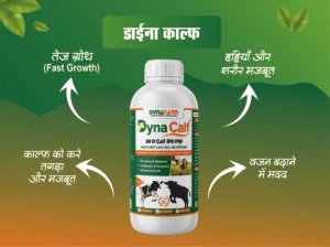 Dynafarm - dyna calf webside banner 03.jpg