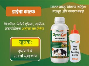Dynafarm - dyna calf webside banner 04.jpg