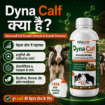 Dyna Calf Immunity And Growth Support | Calf Nutrition Supplement - Image 3