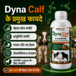 Dyna Calf Immunity And Growth Support | Calf Nutrition Supplement - Image 4