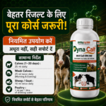 Dyna Calf Immunity And Growth Support | Calf Nutrition Supplement - Image 7