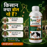 Dyna Calf Immunity And Growth Support | Calf Nutrition Supplement - Image 6