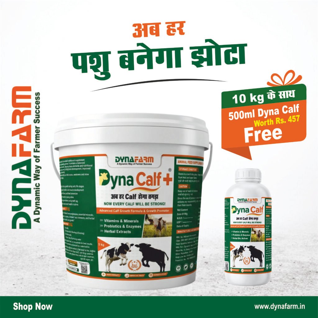 Dynafarm - dyna calf website 1