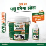 Dyna Calf+ Advanced Immunity & Growth Support Supplement