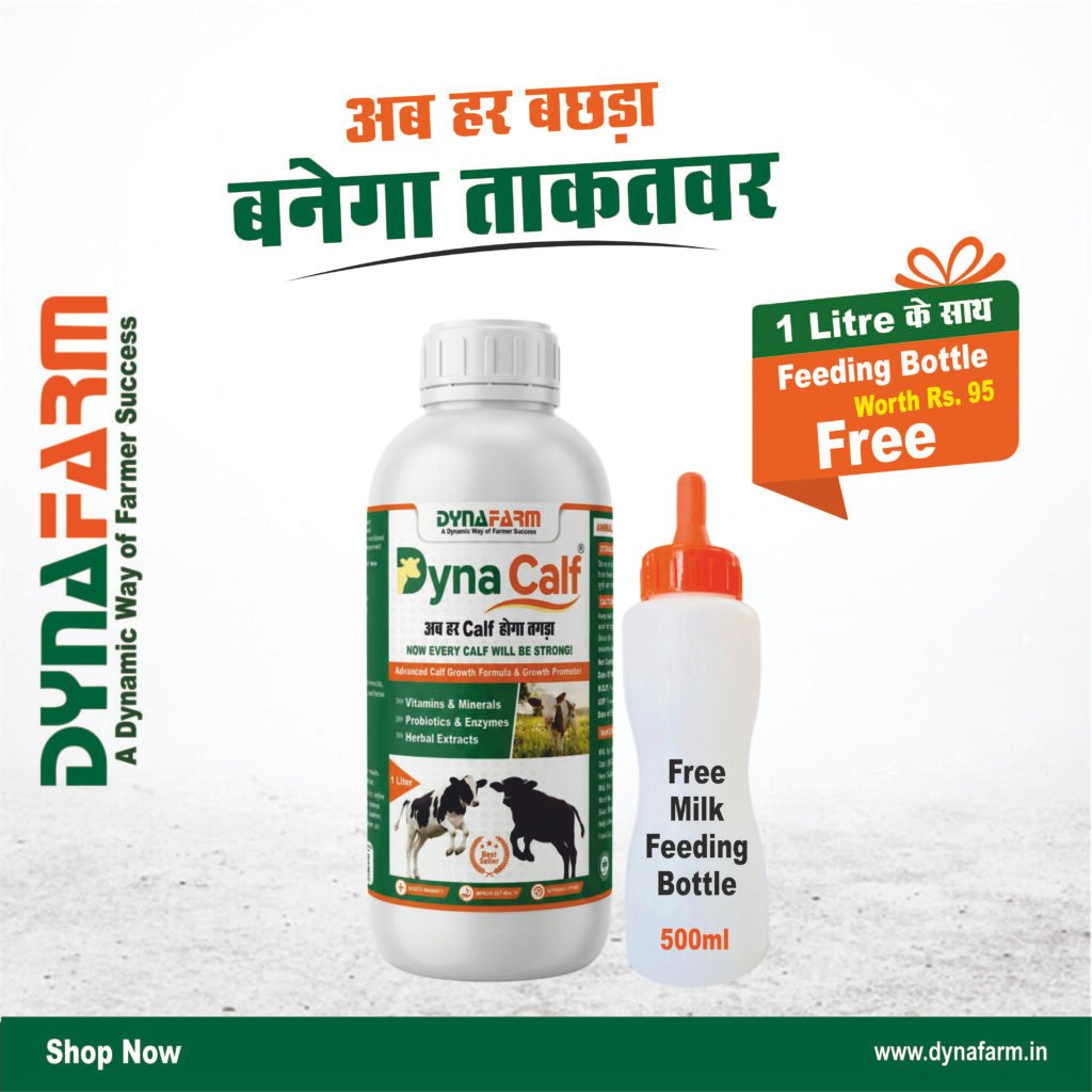 Dynafarm - dyna calf website