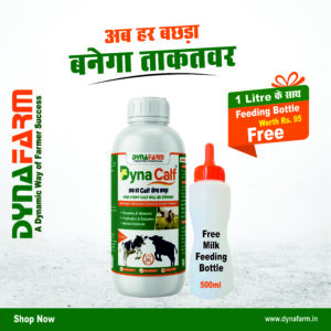 Dyna Calf Immunity And Growth Support | Calf Nutrition Supplement