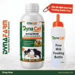 Dyna Calf Immunity And Growth Support | Calf Nutrition Supplement