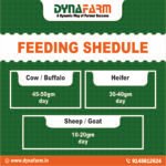 Furtila+ Growth and Immunity Support | Mineral and Vitamin Livestock Nutrition Supplement - Image 5