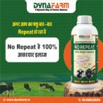Dyna No Repeat Livestock Nutrition Supplement | Reproductive Wellness Support - Image 2