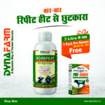 Dyna's No Repeat Livestock Nutrition Supplement | Reproductive Wellness Support