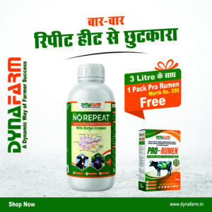Dyna's No Repeat Livestock Nutrition Supplement | Reproductive Wellness Support