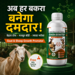 Bakra Booster Goat And Sheep Growth Support Supplement | Nutrition And Vitality Support Formula - Image 2
