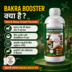 Bakra Booster Goat And Sheep Growth Support Supplement | Nutrition And Vitality Support Formula - Image 4