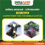 Furtila Growth and Vitality Support | Livestock Nutrition Supplement - Image 3