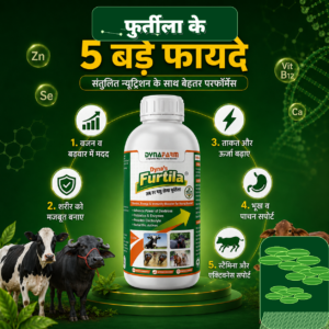 Dynafarm - Furtila Growth and Vitality Support | Livestock Nutrition Supplement Dynafarm - furtila post website 02 1