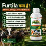 Furtila Growth and Vitality Support | Livestock Nutrition Supplement - Image 3