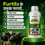 Furtila Growth and Vitality Support | Livestock Nutrition Supplement - Image 4