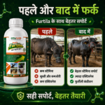Furtila Growth and Vitality Support | Livestock Nutrition Supplement - Image 5