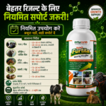 Furtila Growth and Vitality Support | Livestock Nutrition Supplement - Image 6