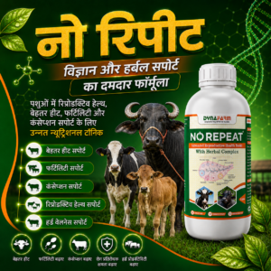 Dynafarm - no repeat post website 01