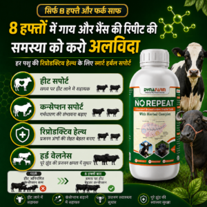 Dynafarm - no repeat post website 02