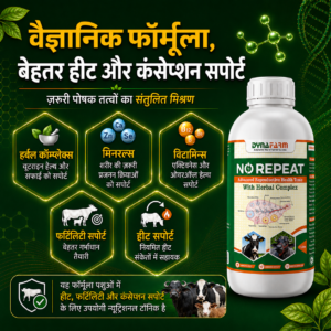 Dynafarm - no repeat post website 04