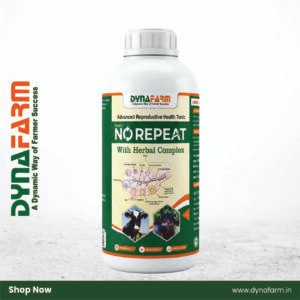 Dyna No Repeat Livestock Nutrition Supplement | Reproductive Wellness Support
