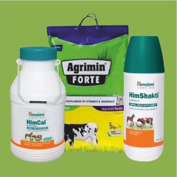 Dynafarm - Home Dynafarm - Animal Husbandry.jpg 1