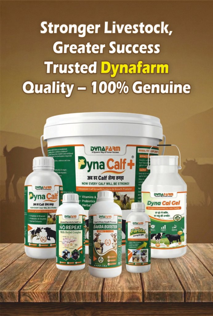 Dynafarm - animal webside post.jpg
