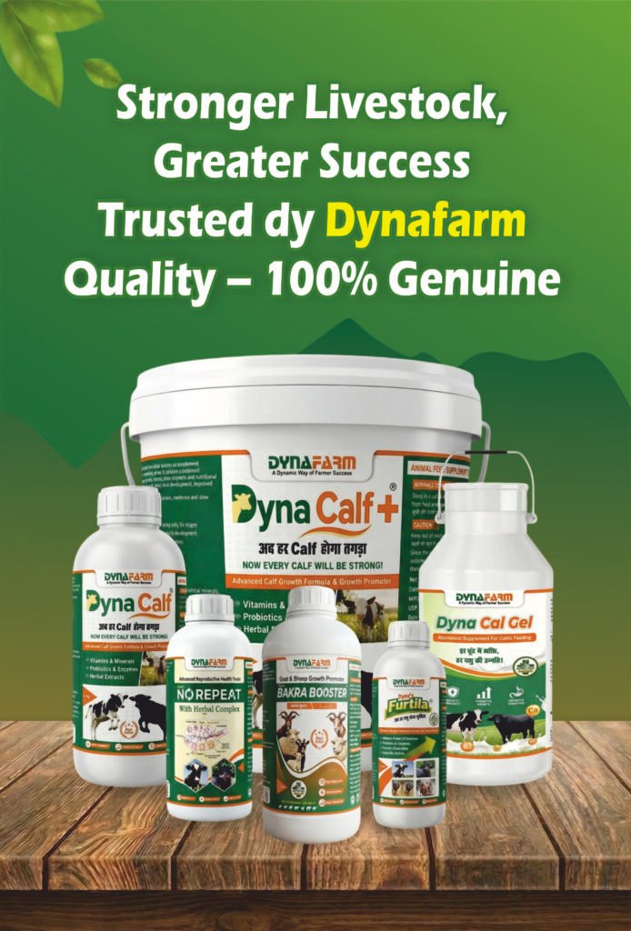 Dynafarm - animal.jpg