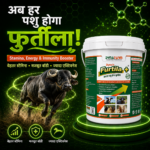 Furtila+ Growth and Immunity Support | Mineral and Vitamin Livestock Nutrition Supplement - Image 2
