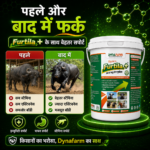 Furtila+ Growth and Immunity Support | Mineral and Vitamin Livestock Nutrition Supplement - Image 5