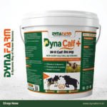 Dyna Calf+ Advanced Immunity & Growth Support Supplement