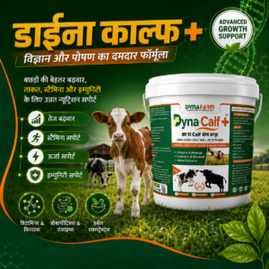 Dynafarm - Dyna Calf+ Advanced Immunity & Growth Support Supplement Dynafarm - dyna calf post website 01