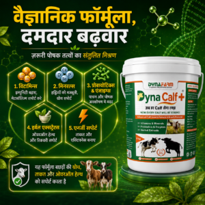 Dynafarm - Dyna Calf+ Advanced Immunity & Growth Support Supplement Dynafarm - dyna calf post website 02