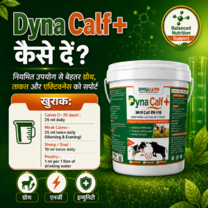 Dynafarm - Dyna Calf+ Advanced Immunity & Growth Support Supplement Dynafarm - dyna calf post website 05