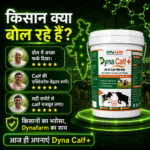 Dyna Calf+ Advanced Immunity & Growth Support Supplement - Image 7