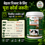 Dyna Calf+ Advanced Immunity & Growth Support Supplement - Image 6