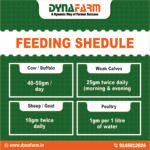 Furtila+ Growth and Immunity Support | Mineral and Vitamin Livestock Nutrition Supplement - Image 5