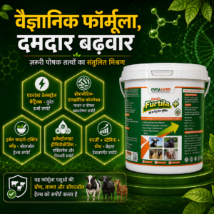 Dynafarm - furtila post website 03