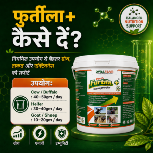 Dynafarm - furtila post website 05