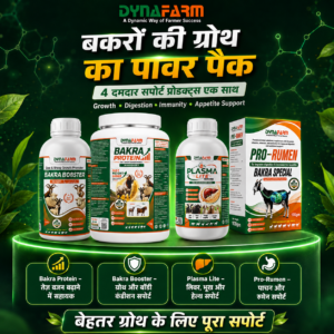 Dynafarm - ChatGPT Image Aug 4 2026 01 58 46 PM 1