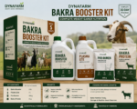Dynafarm Bakra BoostUp Kit | Complete Weight Gainer & Bakra & Goat Nutrition Kit With Bakra Booster